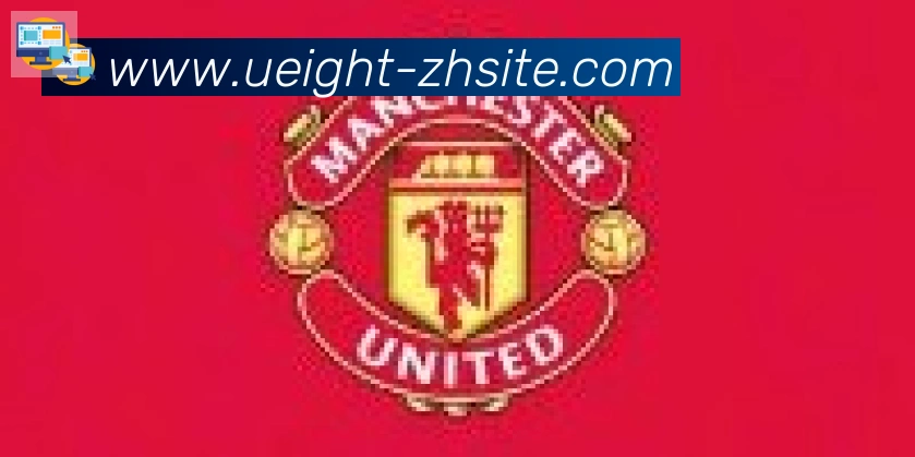 U8国际合作伙伴