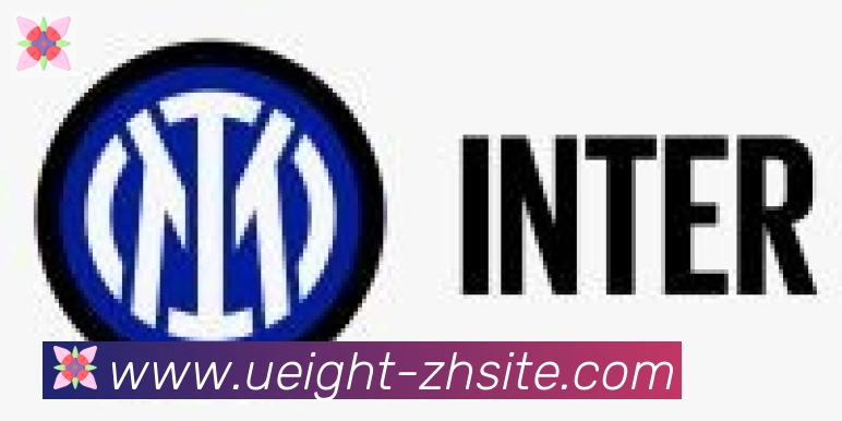 U8国际合作伙伴