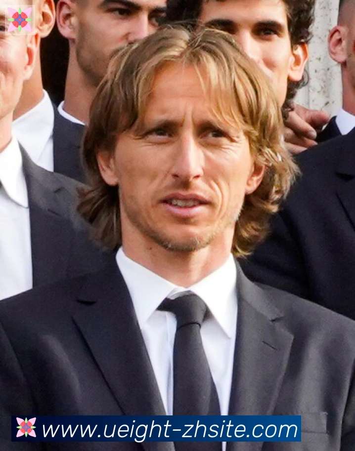 维尼修斯